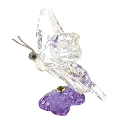 スワロフスキー SWAROVSKI SCS限定 Butterfly オブジェ 置物 1142859 クリア 蝶【中古】