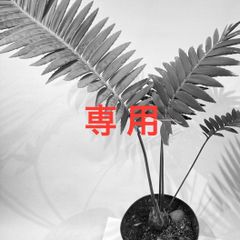 lili様 完成品ご確認ページ☺︎ lili様 完成品ご確認ページ☺︎ char-lie-zx様 リクエスト 2点 まとめ商品