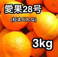 愛媛県産 愛果28号(マドンナ) 3kg ご家庭用