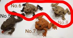 カエルアンドコー (イグアナ 恐竜 シャーク アンドコー &co.) ①