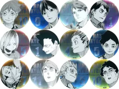【中古】バッジ・ピンズ 全12種セット 「ハイキュー!! FAN PARK(ファンパーク) デコレクション缶バッジ(R) 第3弾」