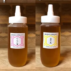 セール【非加熱・生蜂蜜】れんげ500g&菜の花蜜500g(2本)