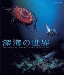 Item thumbnail for item fa39f0c4-2b22-475e-9ae1-306ca6bb86f0