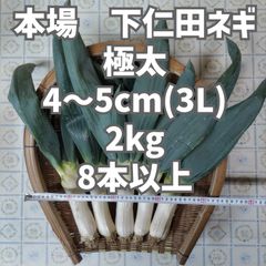 本場 下仁田ネギ ストア 極太 4kg☓2箱 下仁田ネギ【2L～3Lサイズ 4kg