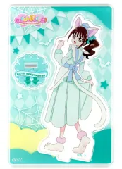 【中古】アクリルスタンド・アクリルパネル 猫屋敷まゆ(ひとVer./耳あり) 「わんだふるぷりきゅあ! ミニアクリルスタンド Vol.6」