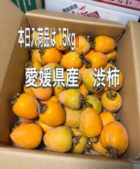 【超お得‼️愛媛県産 渋柿15kg】サイズ中 2800円