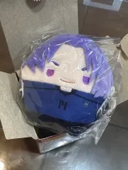 ブルーロック ふわコロりん ぬいぐるみ 御影 玲王 未開封