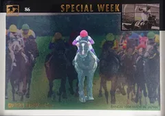 スペシャルウィーク：第65回 日本ダービー(ミラー仕様)「THE GRADE ONE」No.86