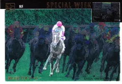 スペシャルウィーク：第65回 日本ダービー(ミラー仕様)「THE GRADE ONE」No.85