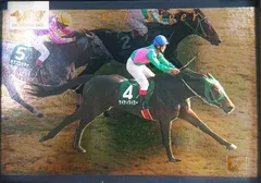 ケイティタイガー:第85回 東京障害特別(春)(ミラー仕様)「THE GRADE ONE」No.59