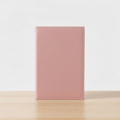 Item thumbnail for item 88504590-4356-4352-bb9d-7411766ed120