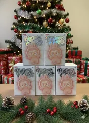 【正規品　未開封】 Labubu Energy 5ピース ラブブ ポップマート ぬいぐるみ LABUBU エナジー 色かぶりなし シークレット可能性あり