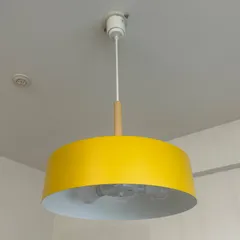 2025年最新】unico ペンダントライトの人気アイテム - メルカリ