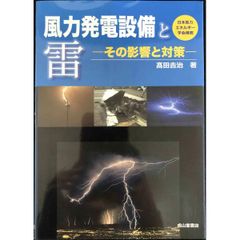 風力発電設備と雷ーその影響と対策ー
