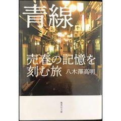 青線 売春の記憶を刻む旅  集英社文庫