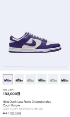 ナイキ スニーカー ダンク ロー レトロ チャンピオンシップ コートパープル 240 (ナイキコリア タブあり)