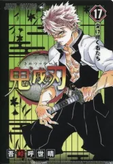 【中古】クリアファイル 第17巻 受け継ぐ者たち 「鬼滅の刃 JC柄A5クリアファイルコレクション第2弾」