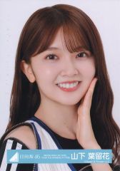 中古】アンジュ・ヴィエルジュ PR-059[PR]：ルビー(生田善子金箔押し