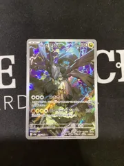 ●795　ポケモンカード　Nのゼクロム　AR 210/193