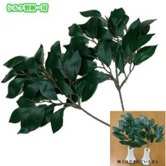 Item thumbnail for item 42f246d5-c13b-44bd-bda3-035f98114cf9