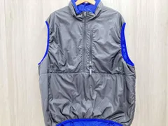 2025年最新】patagonia パフボールベストの人気アイテム - メルカリ