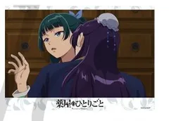 猫猫＆壬氏 薬屋のひとりごと トレーディングブロマイドコレクション Vol.4 薬屋 グッズ ブロマイド 16