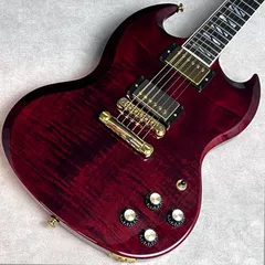 2025年最新】gibson sg ハードケースの人気アイテム - メルカリ