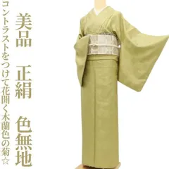 ✾まめ藤✾美品 正絹 着物“自然にコントラストをつけて花開く木蘭色の菊☆”色無地 T-20