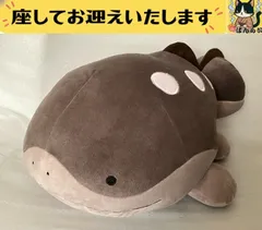 2025年最新】ドオー ぬいぐるみ ポケモンの人気アイテム - メルカリ