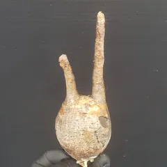 2025年最新】グラキリス ベアルートの人気アイテム - メルカリ