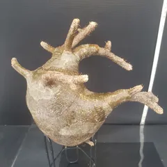 2025年最新】グラキリス ベアルートの人気アイテム - メルカリ