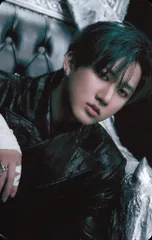 Stray Kids Changbin GIANT domin ATE JAPAN会場購入 トレーディングカード 京セラ共通