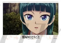 猫猫 薬屋のひとりごと トレーディングブロマイドコレクション Vol.3 薬屋 グッズ ブロマイド 14