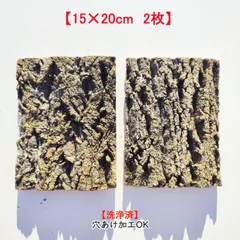 2025年最新】コルク樹皮 ビカクシダの人気アイテム - メルカリ