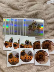 シール38枚セット