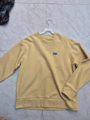 パタゴニア スウェット Tシャツ イエロー