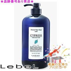 LebeL ルベル ナチュラルヘアトリートメント ウィズ RP レフィル