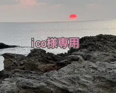 専用です。ico様