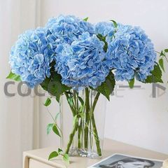 Item thumbnail for item 58f26eeb-c7f5-4019-a06f-a1be4b5b18af