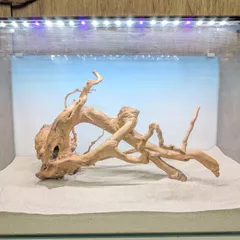 2025年最新】ホーンウッド adaの人気アイテム - メルカリ