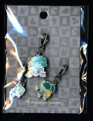 ポケモン メタルチャーム 387 388 389 ポケットモンスター ナエトル ドダイトス ハヤシガメ