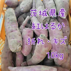折れ・キズ　紅はるか　10キロ　茨城県産　栽培中農薬不使用　訳あり