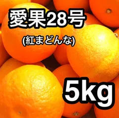 北海道、沖縄、離島のお客様 愛媛県産 愛果28号(マドンナ) 5kg ご家庭用