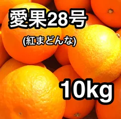 北海道、沖縄、離島のお客様 愛媛県産 愛果28号(マドンナ) 10kg ご家庭用