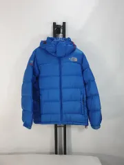 THE NORTH FACE ザノースフェイス ダウン サミットシリーズ ブレイバー ダウン ジャケット ブルー 90