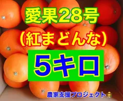愛果28号 5キロ　マドンナ