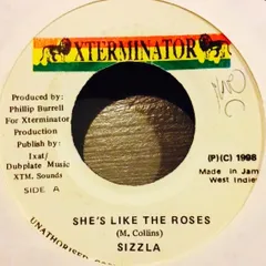 ジャマイカ7” Sizzla Shes Like The Roses NONE Xterminator /00080