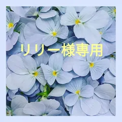 リリー様専用