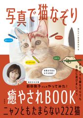 写真で猫なぞり癒やされＢＯＯＫ ニャンともたまらない２２２猫/宝島社/猫なぞり推進委員会（単行本）