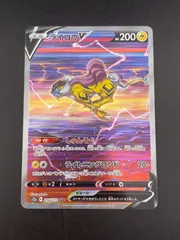 2025年最新】ライコウvの人気アイテム - メルカリ